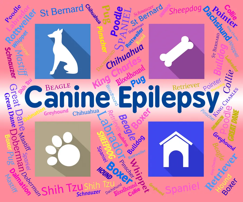 epilepsija 2